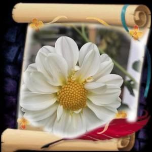 Meet your Posher, Delma